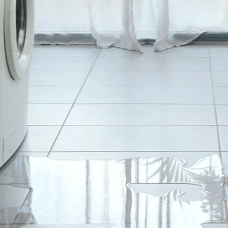 Appliance Leak Cleanup in Tazewell County, VA