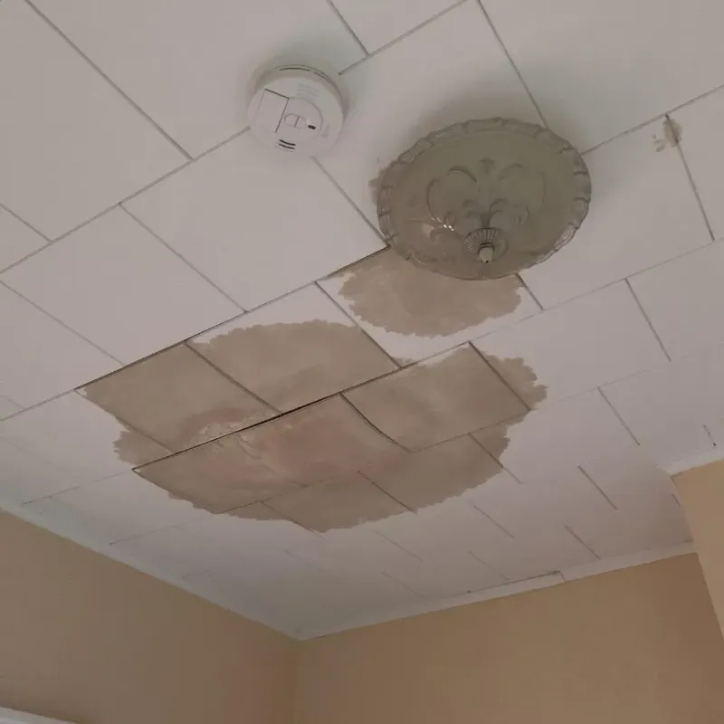 Ceiling Water Damage Repair in Tazewell County, VA