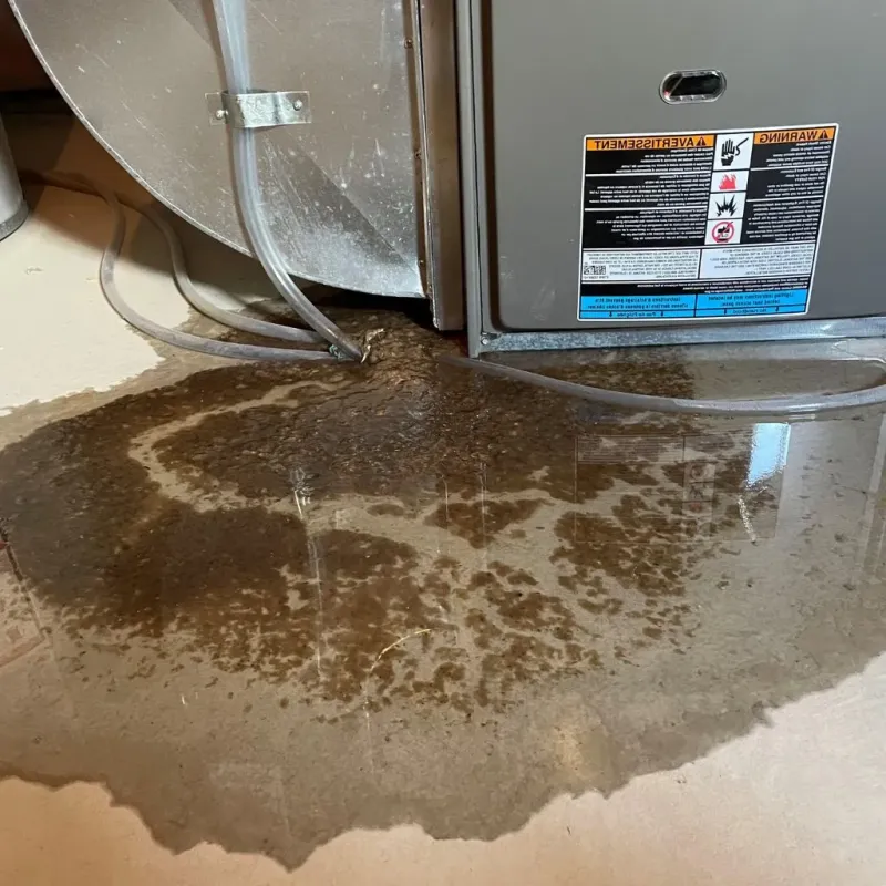 Pipe Burst and Leak Restoration in Tazewell County, VA
