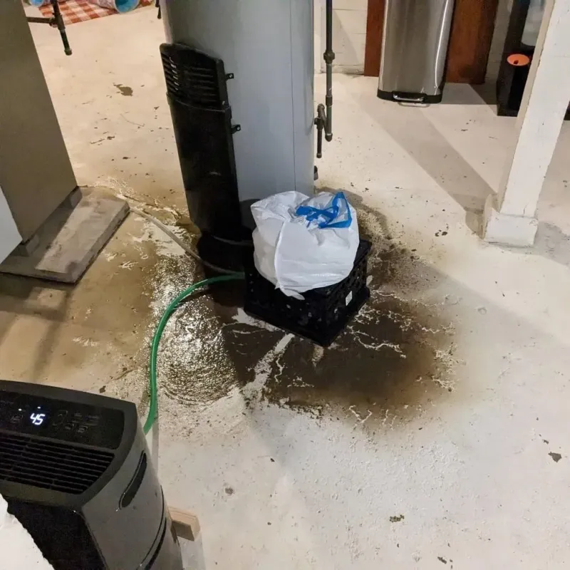 Sewage Backup Cleanup Service in Tazewell County, VA